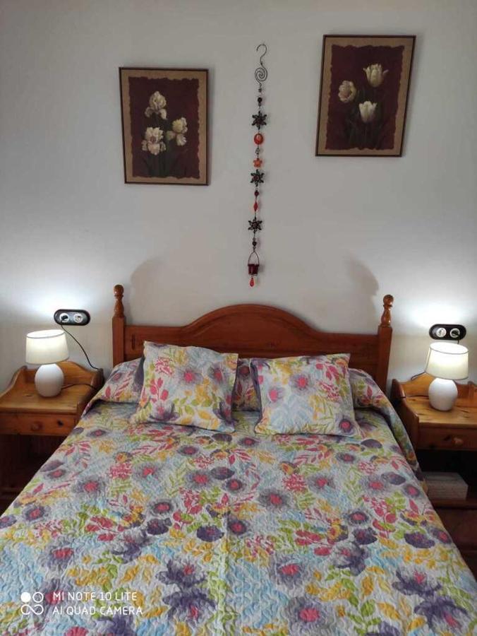 Apartment Centro-primera Linea De Playa